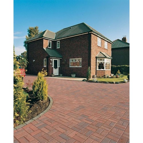 100 brindle block - brindle,